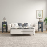 2PCS Coffee Table/Side Table 00470281