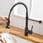 ZUN Commercial Black Kitchen with Pull Down Sprayer, Single Handle Single Lever Kitchen Sink W1932P171816