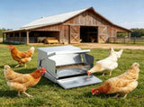 Automatic Chicken Feeder 27548612