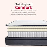 ZUN 14 in. Hybrid Plush Queen Size Foam Mattress, Soft Polyester Knit Cover, Multi-Layer Foam Mattress, B011P203028