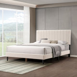 Normsman Dove Tufted Upholstered Platform Bed - Pearl White - Queen W2193134292