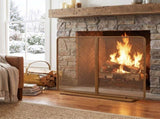Gold TwoPanel Freestanding Fireplace Screen, 50" W 35" H Iron Mesh Fire Spark Barrier for Home N775P528961G
