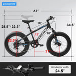 ZUN A20316 20 inch Fat Tire Bike Adult/Teen Full Shimano 7 Speed Mountain Bike, Dual Disc Brakes, High W709P185464