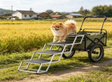 Folding Dog Car Ramp 66138068