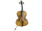 4/4 Acoustic Cello Case Bow Rosin Wood Color 23227804
