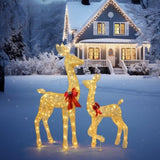 2-Piece Lighted Christmas Deer Family, Outdoor Yard Decoration Set with 210 LEDs Warm White Light, 32994196