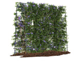71" x 71" Garden Arched Trellis 23961450