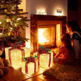 3pcs 10 inch-8 inch-6 inch Golden Gift Box Garden Gift Box Decoration 5M Long Power Cord US Plug 90352277