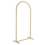 100*200cm For Wedding, Iron, Arc Roof, Door Frame Shape, Water Bag With Floor Nails, Iron Arch, 44788350