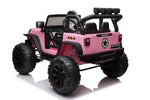 ZUN 24V 9Ah Ride on Toy for Big Kids, 2-Seater Powered Ride-on Truck Car with Remote,pink W2058P203295