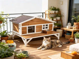 Insulated Cat House 29374987