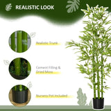 Artificial palm trees/Green plants 49223358