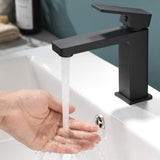 Black Bathroom Faucet, Brushed Black Faucet for Bathroom Sink, Black Single Hole Bathroom Faucet W1932P156219