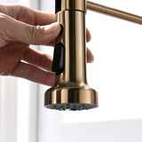 Commercial Brushed Nickel Kitchen Faucet with Pull Down Sprayer, Single Handle Single Lever Kitchen W1932P172308