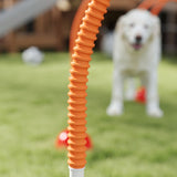 Dog agility training equipment 09097180