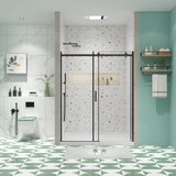 Glass shower door, sliding door, with 5/16" tempered glass and Matted Black finish 4874 W2122P208846