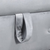 Grey Chaise Lounge Indoor,Velvet Lounge Chair for Bedroom with Storage & Pillow,Modern Upholstered W1170100897