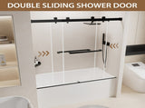 56-60" W x 60" H Frameless Double Sliding Shower Door, Premium 1/4" Thick Tempered Glass With T5595P489719