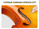 4/4 Full Size Violin for Beginners, Laminated Spruce & Maple Wood, Natural Yellow Varnish Finish, 89585256
