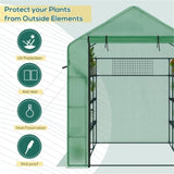 Mini Walk-in Greenhouse 66680033