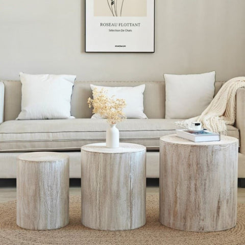 ZUN Set of 3 Whitewash Wood Coffee Table with clear and visible tree rings W2729P209831