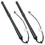 Fits 2010-2016 Porsche Panamera 970 Tailgate Hatch Trunk Lift Support 97051257304 93094968