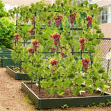 59" Outdoor garden grid with mesh 25409655