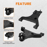2x Front Lower Control Arm w/Ball Joints for Nissan Armada Titan 2004 2005-2015 42038382