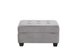ZUN Omega Velvet Upholstery Contemporary Ottoman with Storage Made with Wood Gray B009P169822