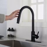 Touch Kitchen Faucet with Pull Down Sprayer-Matte Black 10505182