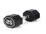 25LBS APOLLO IR3920 Premium Octagonal Dumbbell, Large Numbers, Hard Chrome Plated Handle Dumbbells 09618855