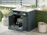 24" Bathroom Vanity with Integrated Ceramic Sink, Bathroom Cabinet with 2 Doors, 1 Tip-out Drawer, N710P341037C