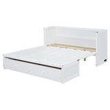 Queen Size Murphy Bed with USB Port and a Large Drawer, White N708P205905K