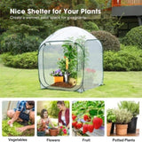 49''x49''x63'' Mini Greenhouse w/ Detachable Base Wind Ropes 87288420