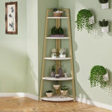 Shelf Book/Storage Cabinet 13802555