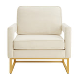 Modern Style Accent Chair with Gold Metal Base , Velvet Upholstered Leisure Chair with Open Armrest, W2186P148523