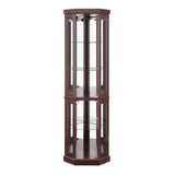 Corner Glass Cabinet Lighted Curio Cabinet Corner Display Case for Living Room, Curio Cabinet, W2275P194428