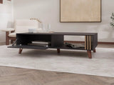 Wengue Coffee Table with a Door and Open Storage B062P290222