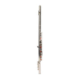 Nickel Plated C Closed Hole Concert Band Flute with E Key 00240637