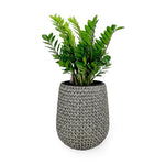 ZUN 17.3" Self-watering Wicker Planter - Garden Decoration Pot - Gray - Round B046P144673