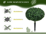 Artificial Plant/Green plants 34919833