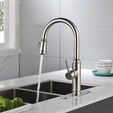 ZUN Single Handle High Arc Pull Out Kitchen Faucet,Single Level Stainless Steel Kitchen Sink Faucets 82522326