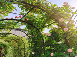 Metal Garden Arch with two plant stands 79.5'' Wide x 86.6'' High Climbing Plants Support Rose Arch W158681135