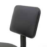 ZUN Round Shape Plastic Adjustable Salon Stool with Back Black 42012977