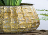 Set of 3 Metal Planter Distressed, L12x12x14" M9x9x11.5" S6.3x6.3x8.7" W2078P499531