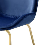Chuchip Blue Velvet & Gold Finish Side Chair B2726P243291