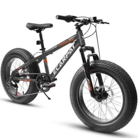 ZUN A20316 20 inch Fat Tire Bike Adult/Teen Full Shimano 7 Speed Mountain Bike, Dual Disc Brakes, High W709P185460