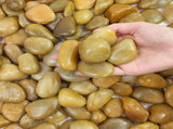 38 lbs khaki River Rocks, 2-3 inch Polished Pebbles - Decorative White Stones for Indoor/Outdoor 57501419