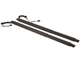 2Pcs Rear Left Right Power Lift Gate Cylinder Struts Fit for 2015-2019 Nissan Murano 3.5L 73029411