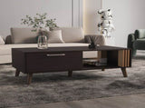 Coffee Table, 1 Door, 1 Shelf, Black / Natural Oak B097P262373